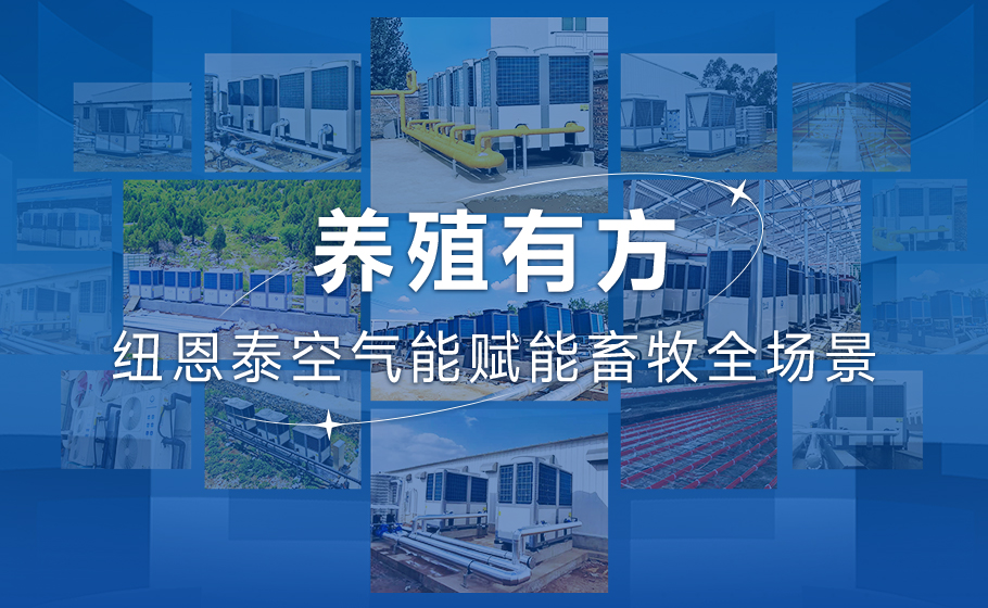 养殖有方！J9集团国际站空气能赋能畜牧全场景！